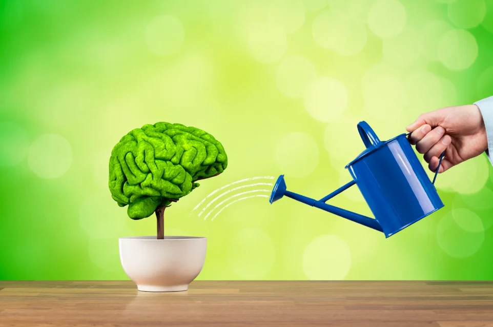 Brain Mapping